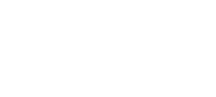LT1